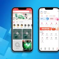 直播拍卖软件源码竞价系统：24小时快速上线，多终端适配