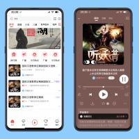  专业音频平台解决方案-仿喜马拉雅听书系统源码，支持会员/付费/打赏全功能  